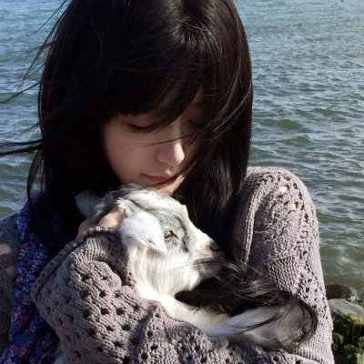 山海情